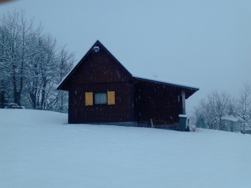 Apartment Iko Rakovica Bilik gambar