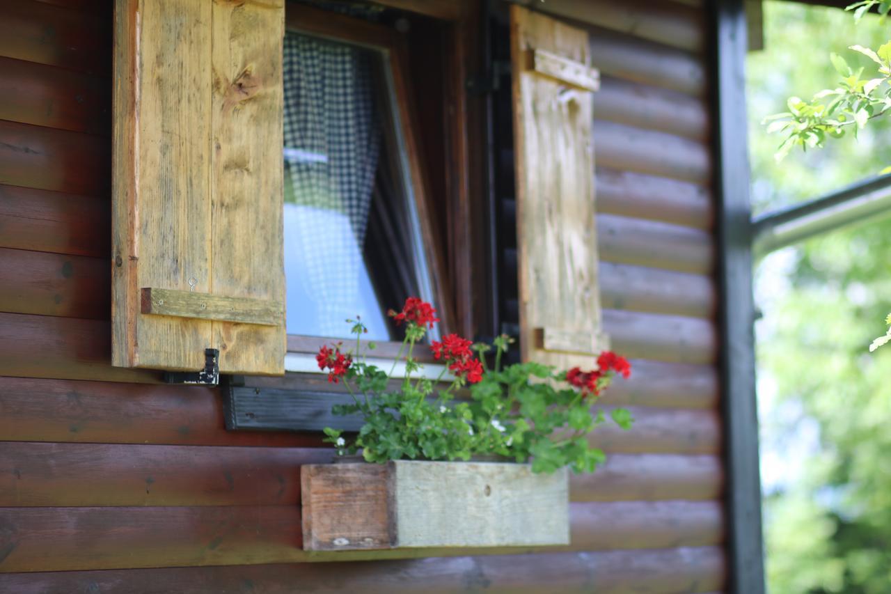 Apartment Iko Rakovica Luaran gambar